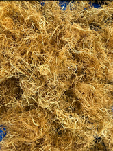 Load image into Gallery viewer, GOLD sea moss