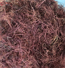 Load image into Gallery viewer, PURPLE sea moss