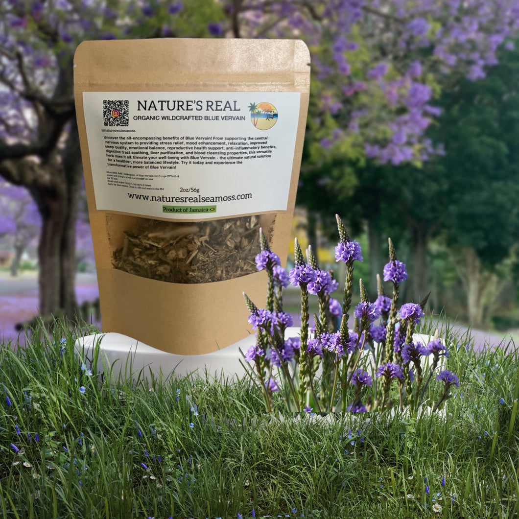 Premium quality 100% organic wildcrafted Blue Vervain