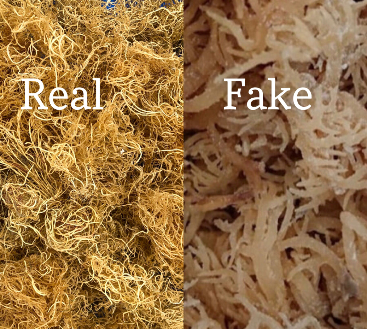 100% Real, organic, natural wild crafted Sea moss – www