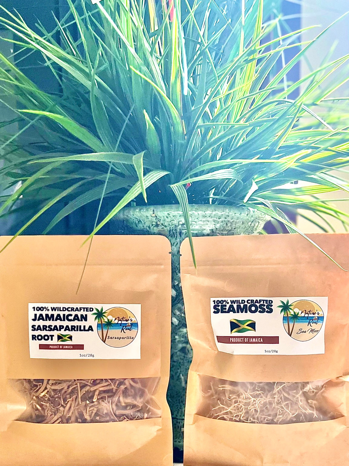 Sarsaparilla, Jamaican Root